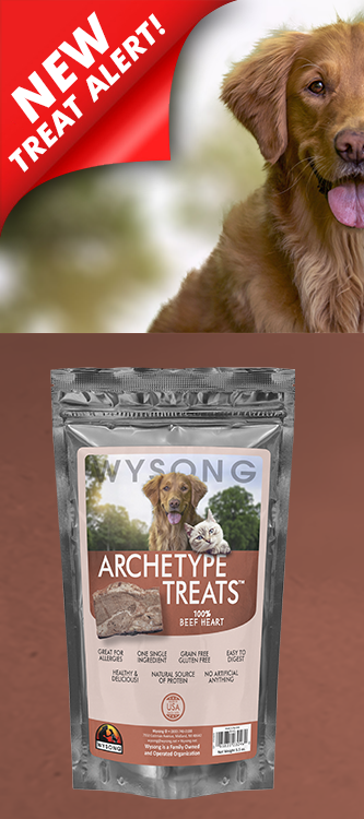 Archetype Treats Beef Heart
