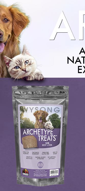 Archetype Treats Beef Liver
