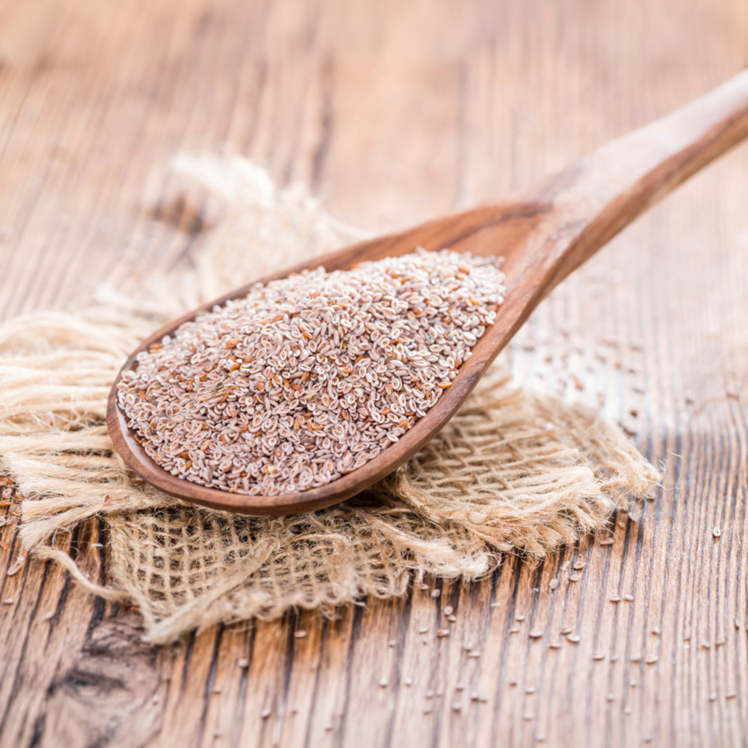 Psyllium husk in a wooden spoon