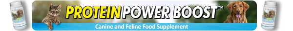 protein-power-boost